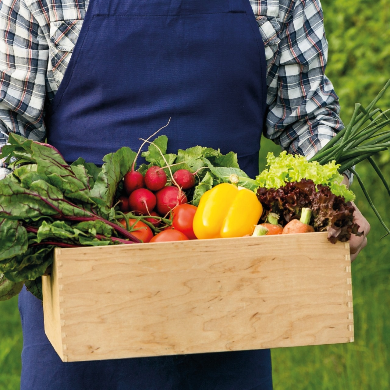 Cesta agricultura